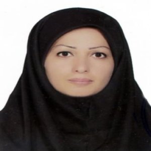 مریم ابراهیمی قائی بهترین وکیل نفقه در تهران