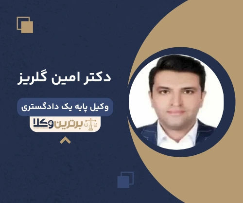 دکتر امین گلریز وکیل اداری در تهران