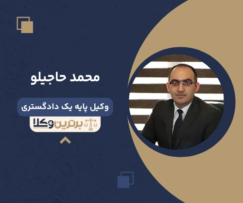 محمد حاجیلو  وکیل اداری در تهران