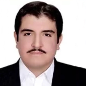 علی رفیعی وکیل پایه یک دادگستری