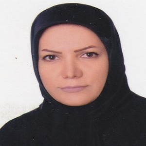 مهین علی محمدی