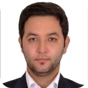 سید مجتبی حسینی دستجردی
