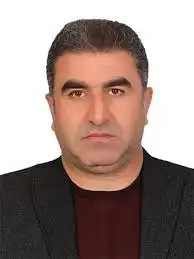محمدعلی برزنونی