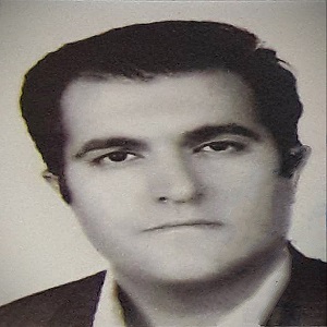 رضا مشهدی حسینی وکیل ملکی در ملارد